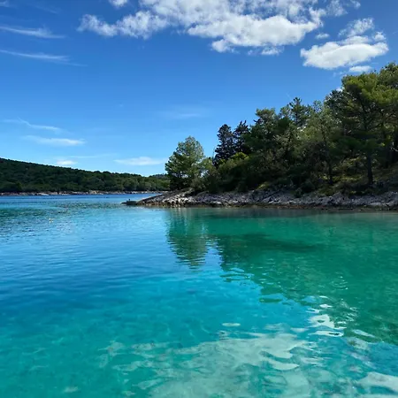 Lavanda - Kandija *