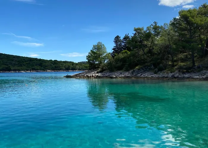 Lavanda - Kandija *